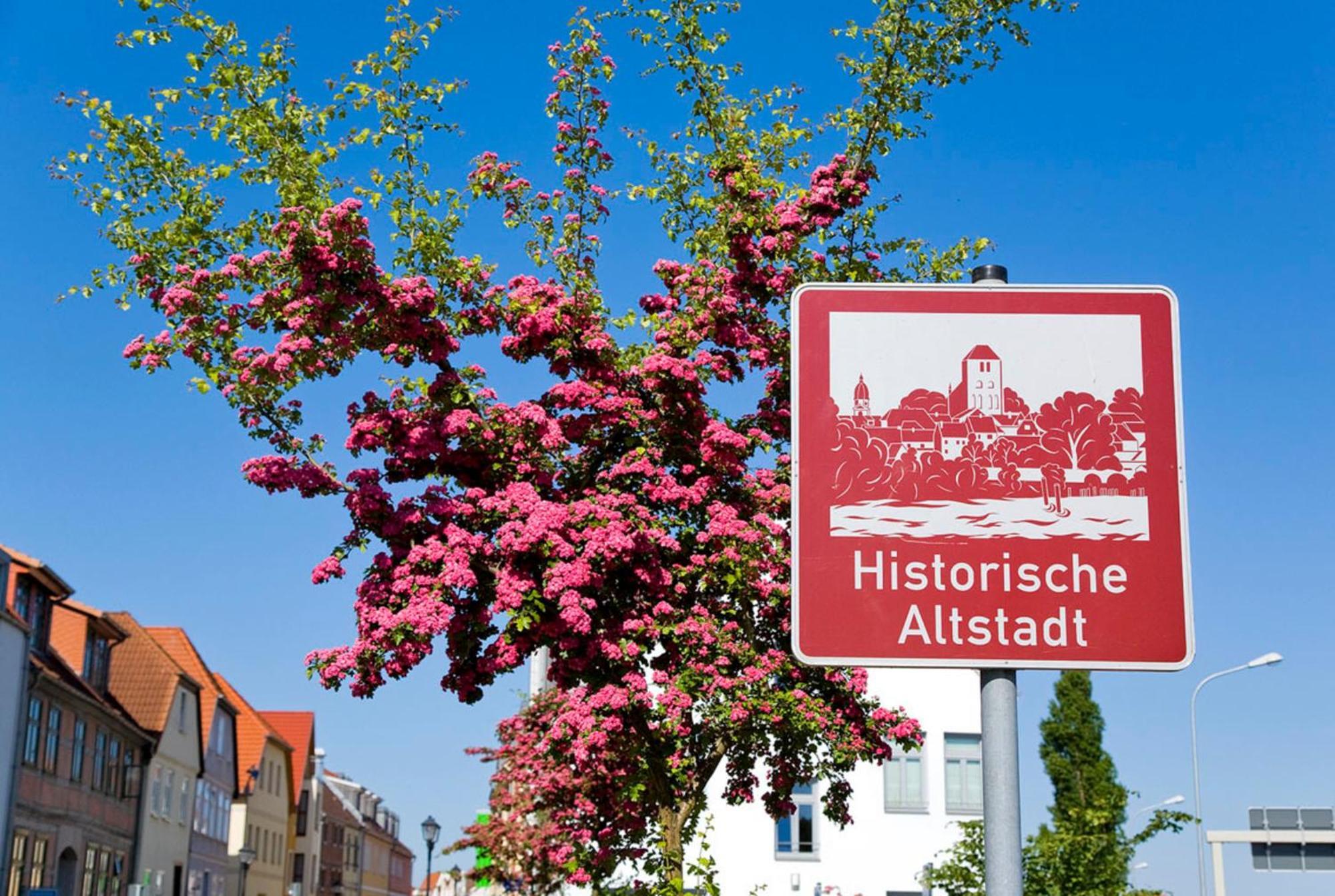 Ferienwohnung am Mühlenberg Waren  Exterior foto